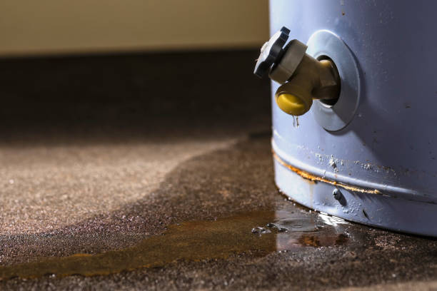 Best Fire Damage Restoration  in Jessup, PA