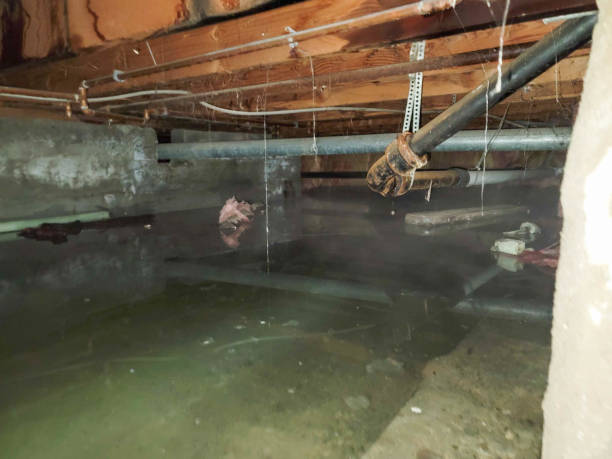  Jessup, PA Water damage restoration Pros