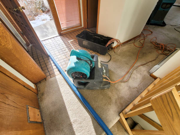 Best Carpet water damage restoration  in Jessup, PA