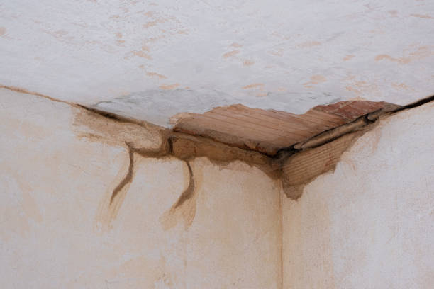 Best Flooded house restoration  in Jessup, PA