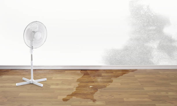 Best Water damage contractors near me  in Jessup, PA