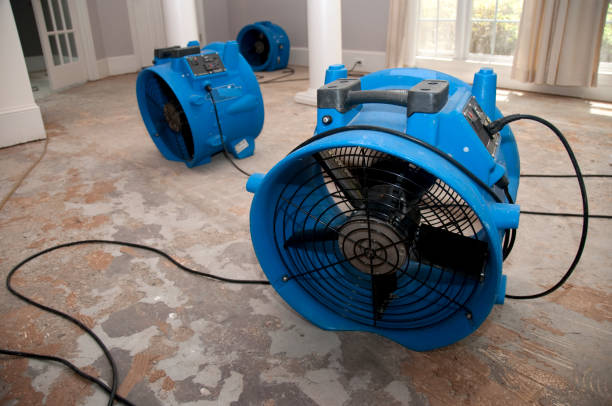 Best Professional water damage repair  in Jessup, PA