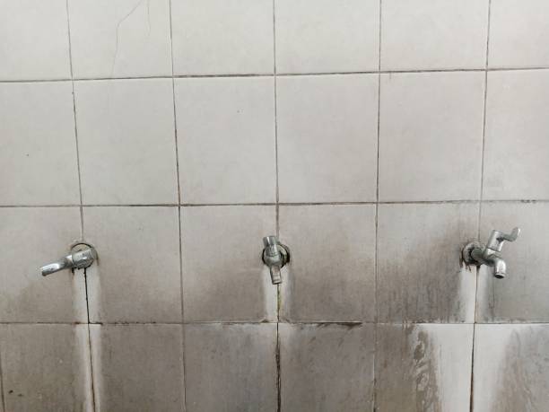 Best Flood damage cleanup  in Jessup, PA