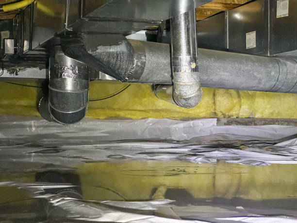 Best Basement water damage restoration  in Jessup, PA