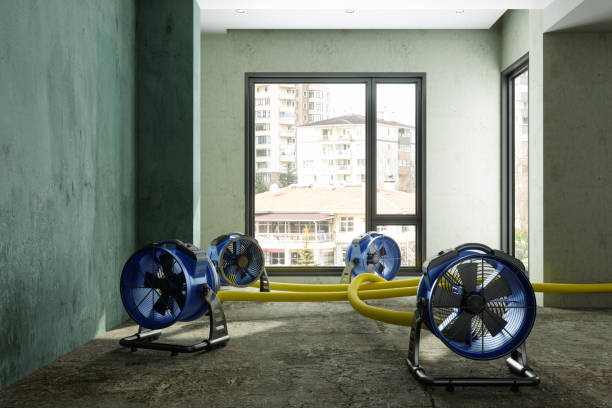 Best Flood restoration services  in Jessup, PA